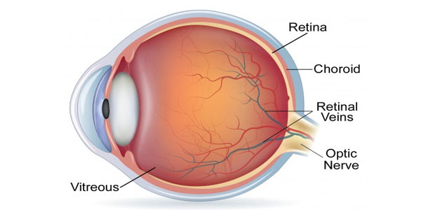 Post operative lasik care